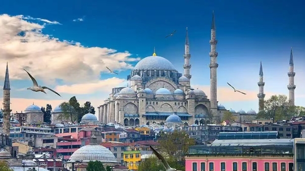 从海关数据看，土耳其进口中国最多的产品有哪些？