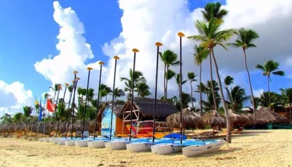 多米尼加海关数据查询平台（附免费试用查询名额）